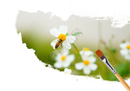 花朵喷画画笔下蜜蜂采蜜设计图片