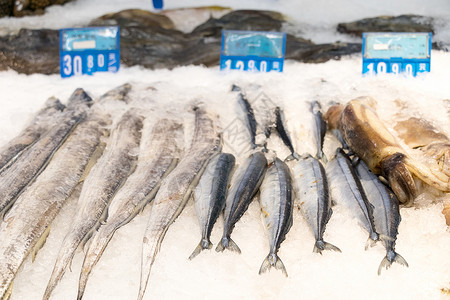 虾米干超市商场里的海鲜水产背景