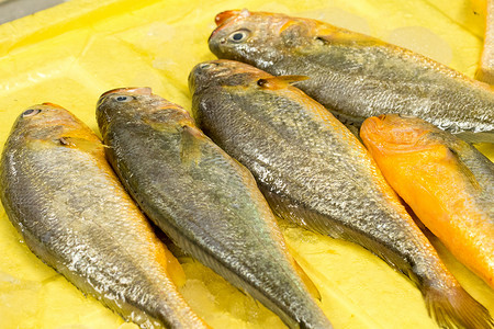 野生黄鱼超市商场里的海鲜水产背景