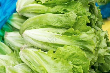 新鲜的绿色蔬菜生菜高清图片