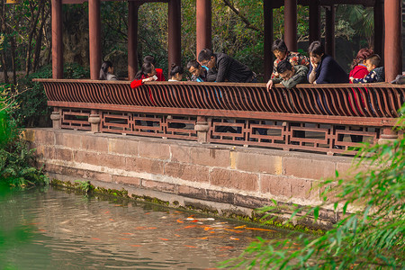 成都锦鲤中国风园林小景拍摄背景