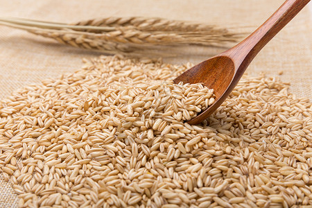 米肠子温暖谷物燕麦米棉麻底拍摄背景