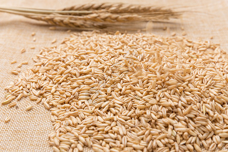 粮油米温暖谷物燕麦米棉麻底拍摄背景