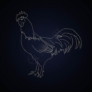 黑白龙年手绘素描手绘公鸡背景