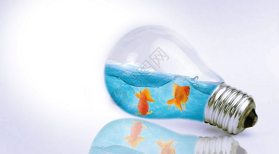 灯泡里的金鱼背景图片