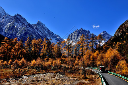 贡嘎山景区川西风光背景