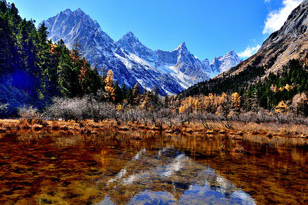 燕子飞回川西风光背景