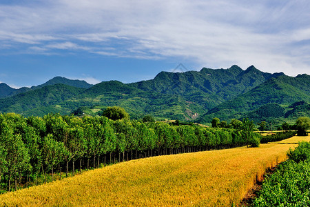 大秦岭西安环山路风光背景