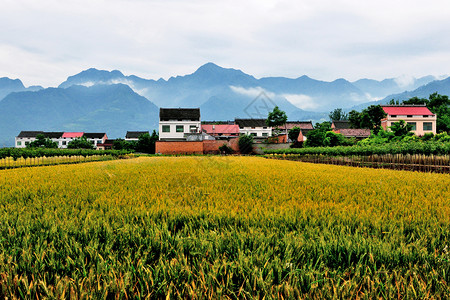 西安环山路风光背景