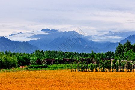 西安环山路风光背景图片