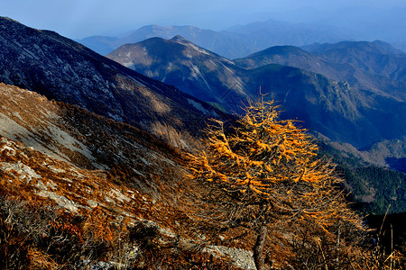 三爷海秦岭太白山背景