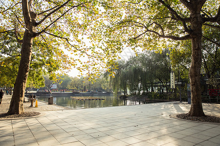 杭州西湖阳光大树广场图片