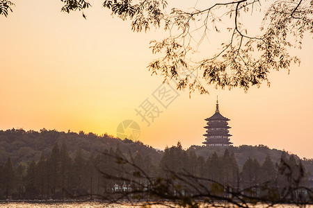 西湖雷锋塔杭州西湖树枝静谧雷锋塔背景