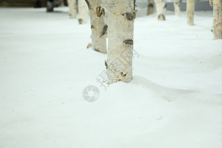 商场室内雪景雪地造景背景图片