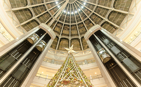圣诞松枝商场大气设计装饰圣诞树背景