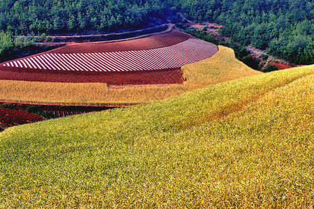 东川红土地背景图片