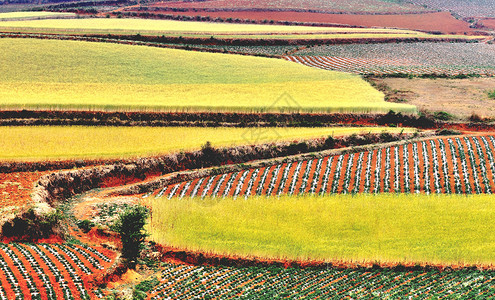 东川红土地背景图片