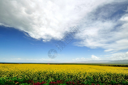 青海自然风光背景图片
