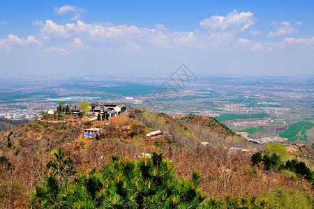 驼梁松树西安周边自然风光背景