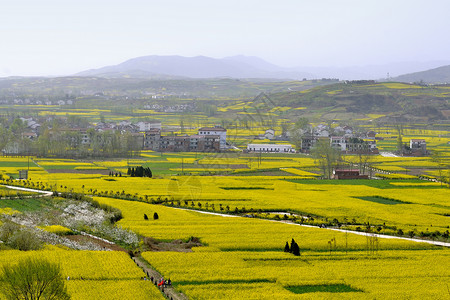 白鹃梅西安周边自然风光背景