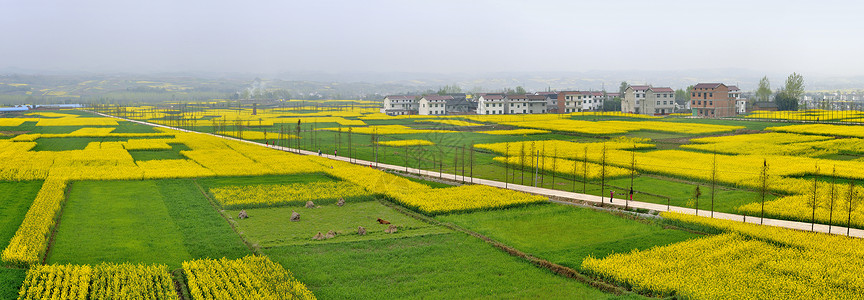 白鹃梅西安周边自然风光背景