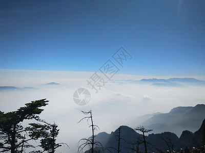 猴子森林峨眉山云海日出背景