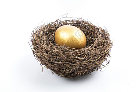 金色彩蛋图标鸟巢里的蛋多角度拍摄背景
