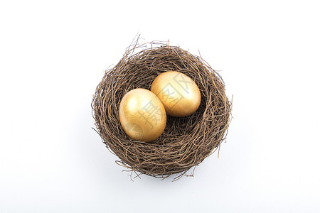 金色蛋鸟巢里的蛋多角度拍摄背景