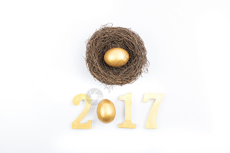 2017和鸟窝鸡蛋摆拍背景图片