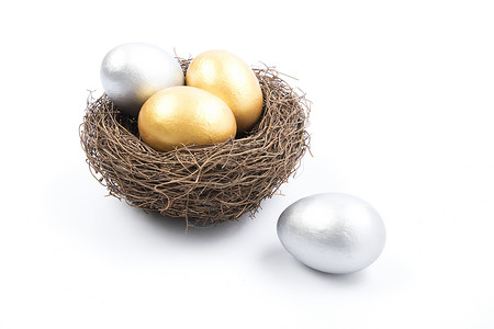投资孵化鸟巢里的蛋多角度拍摄背景