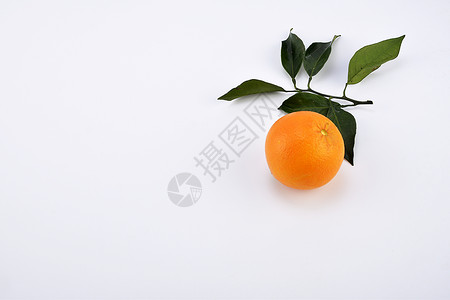 可爱PPT背景橙子背景水果切片摆拍背景