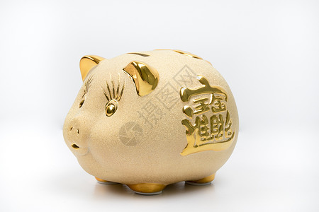 抱着金币猪金色猪储蓄罐背景