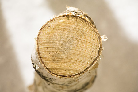 木桩年轮砍木头木桩高清图片