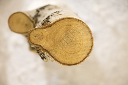 木桩年轮木头切面高清图片