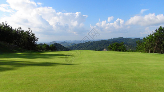 果岭高尔夫草坪背景