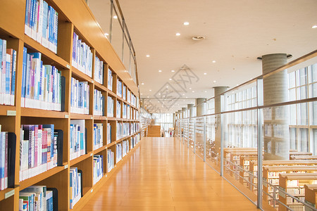 礼堂装饰安静的图书馆背景
