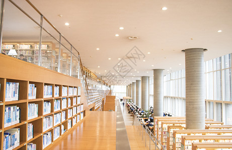 大书柜敞亮的图书馆大场景背景