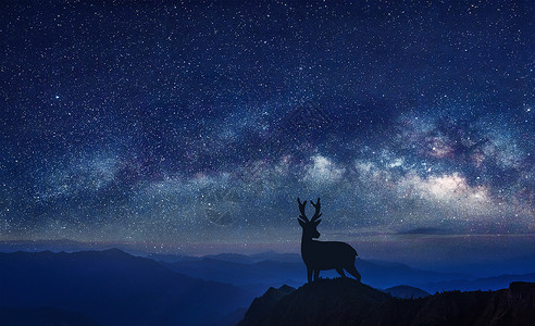 月牙星星装饰星空下的小鹿圣诞背景设计图片