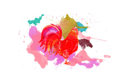 白色鸡2017鸡年水彩鸡设计图片