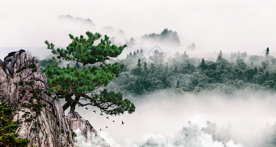 森林意境云山雾绕的大山设计图片