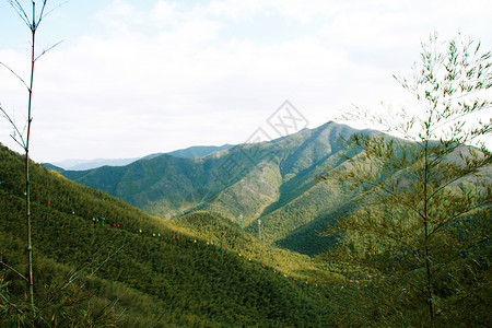南山竹海竹谷由美高清图片
