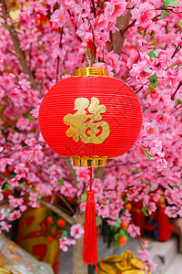 中国新年春节喜庆吉祥元素图片