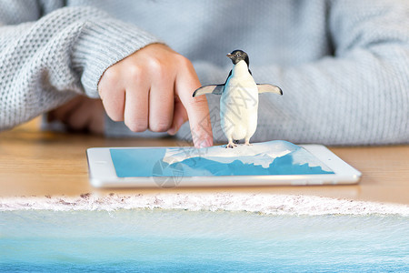 动物小素材手机里面的小企鹅设计图片