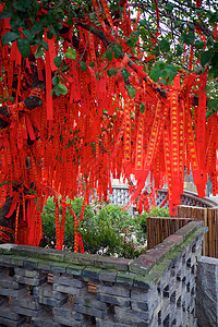 许愿树素材上海七宝老街背景