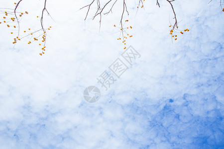 清新文艺棉花云朵背景背景图片