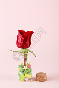 创意瓶子里的红玫瑰高清图片
