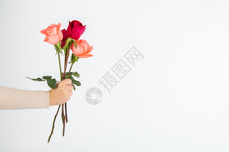 表白女孩520情人节送一束玫瑰花背景