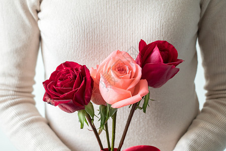 创意字母V520情人节送一束玫瑰花背景