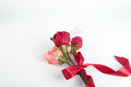 520一束玫瑰花背景图片
