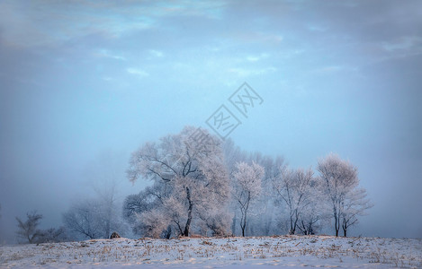 雪美人雾凇岛晨雪高清图片